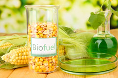 Tir Y Berth biofuel availability