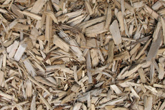 biomass boilers Tir Y Berth